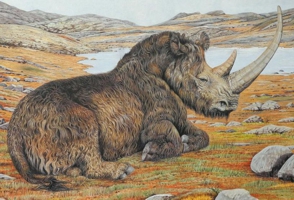 Megafauna – wystawa