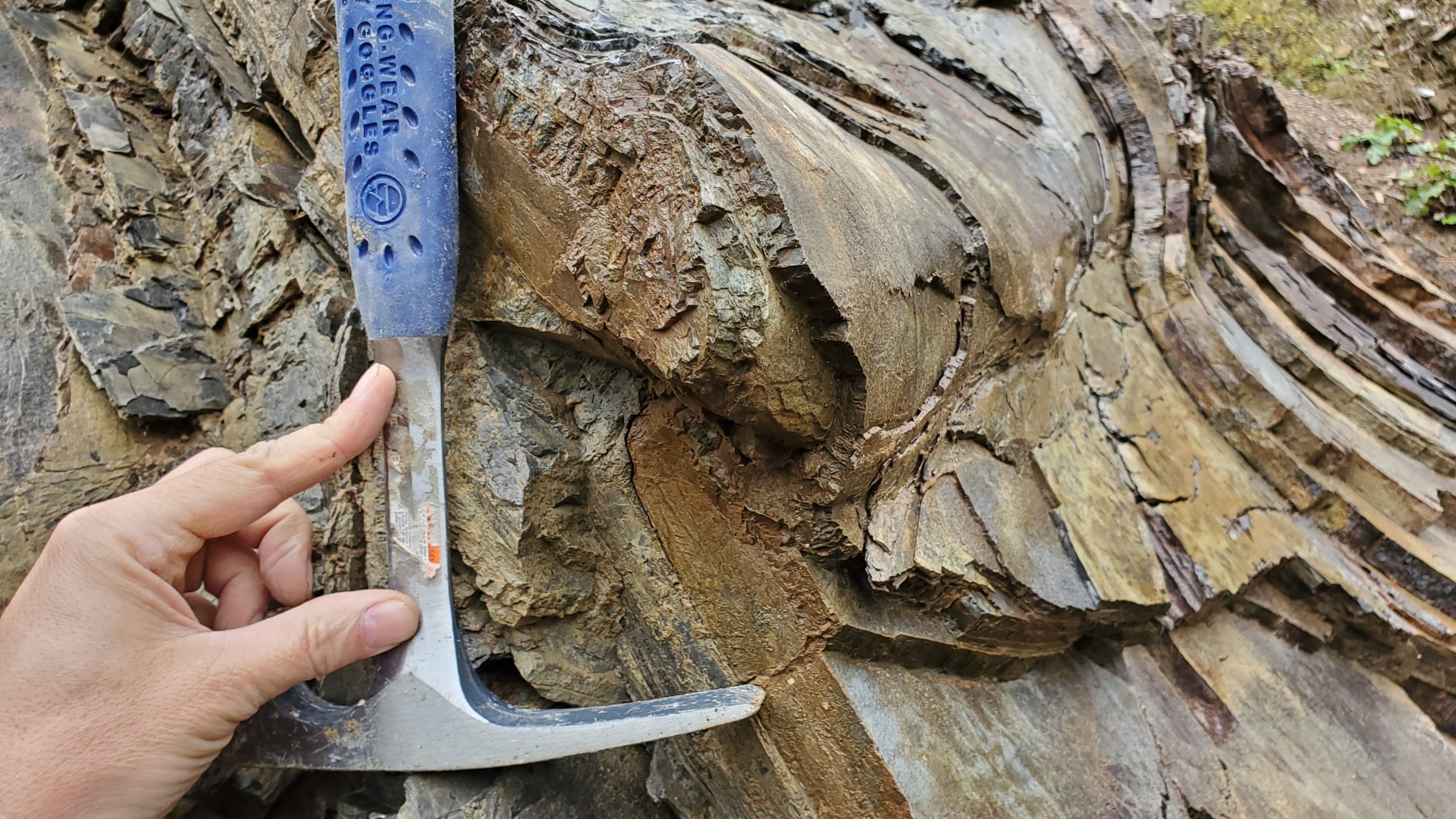 Naukowy wyjazd terenowy „Geologia Karpat – Bieszczady i Beskid Niski”