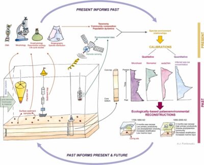 Anna Pienkowski Deciphering polar climate change: from the past into the future – referat